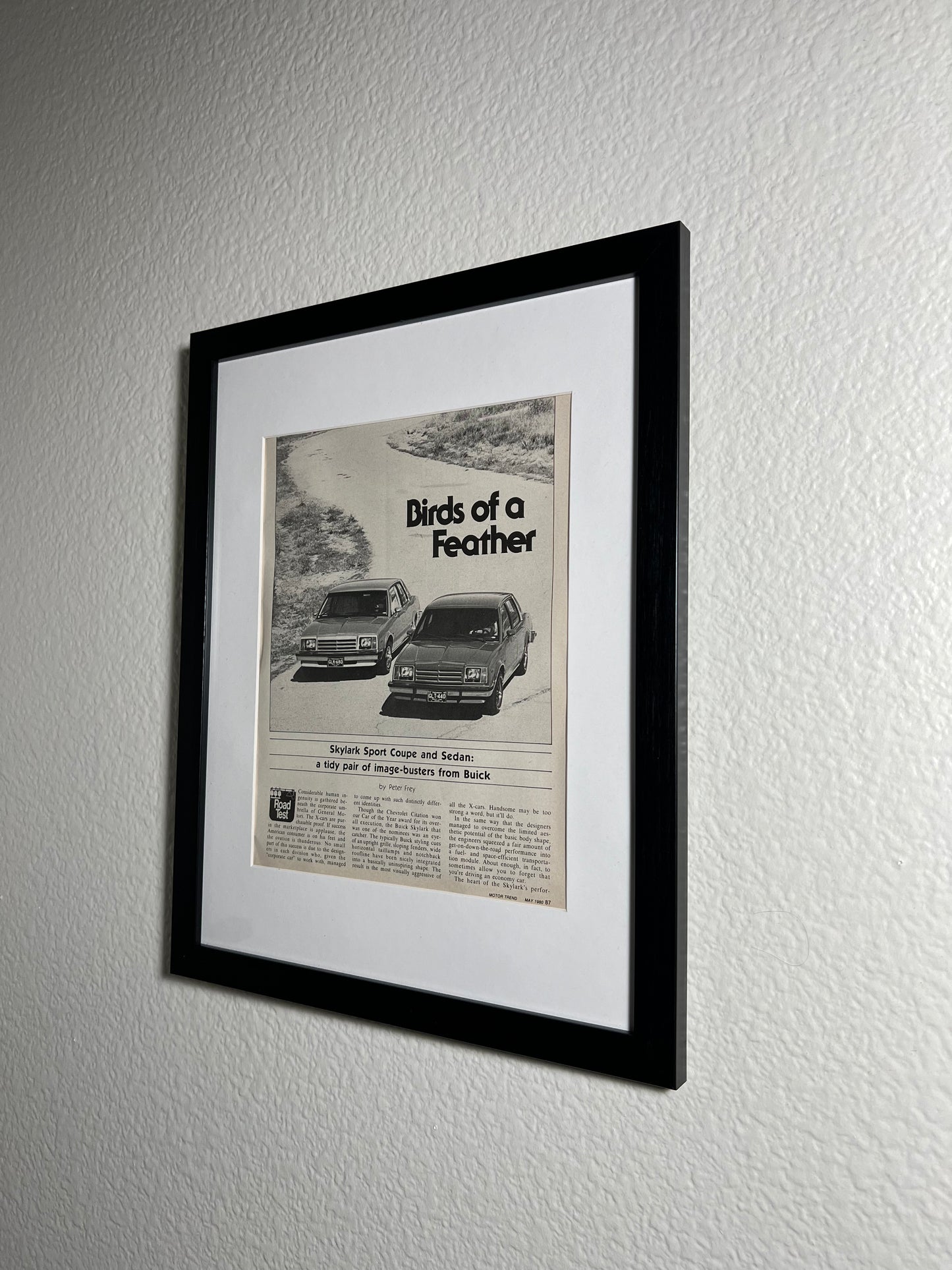 ~ Birds of a Feather Buick - 1980 - Edition #048