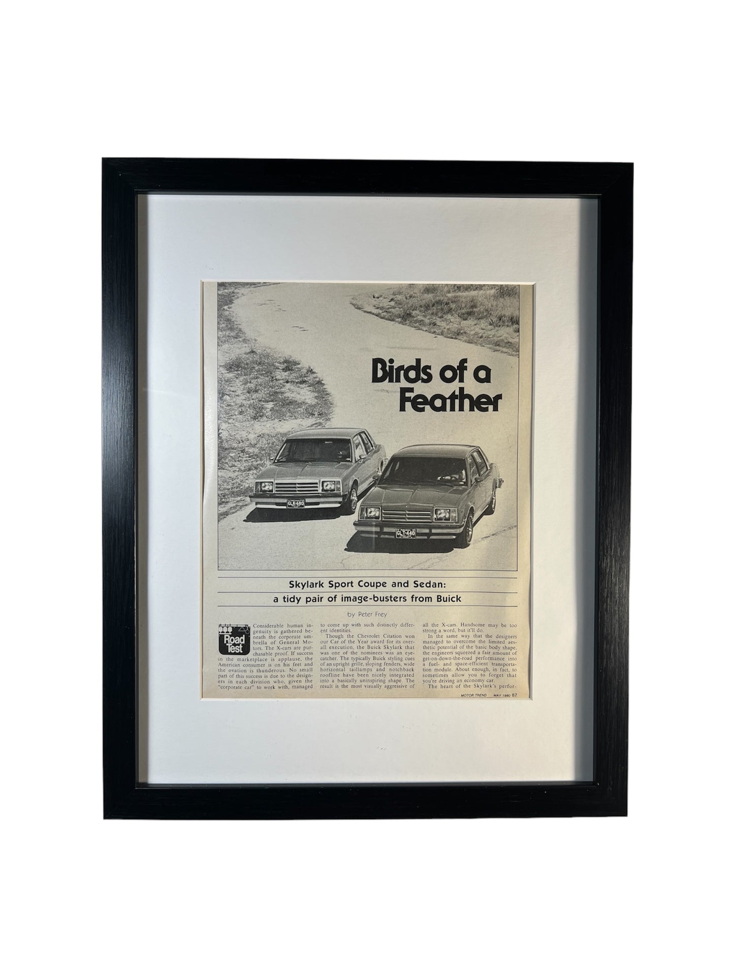 ~ Birds of a Feather Buick - 1980 - Edition #048