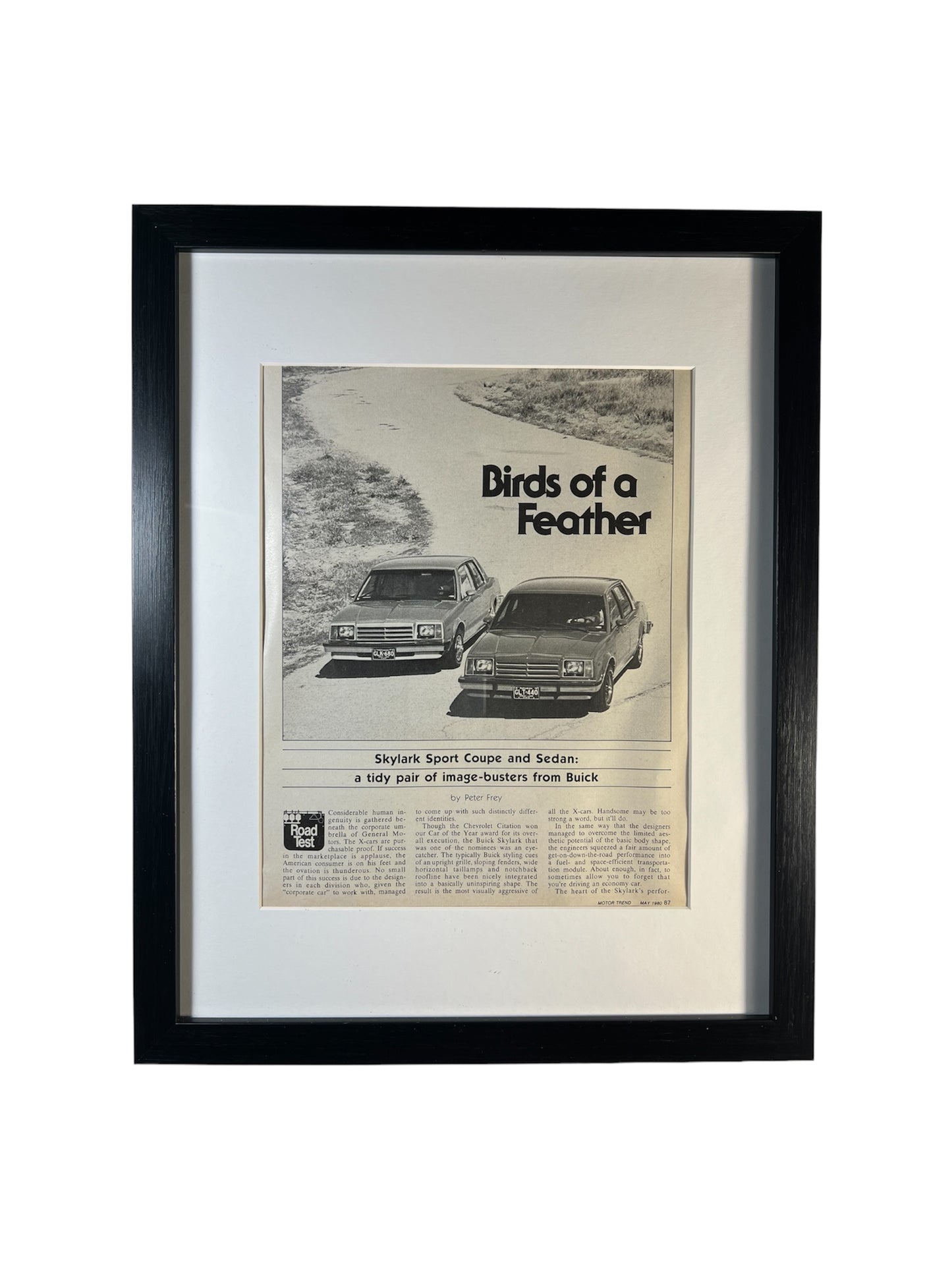 Birds of a Feather Buick - 1980 - Edition #048